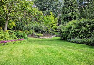 Optimiser l'expérience du jardin à Bethancourt-en-Vaux